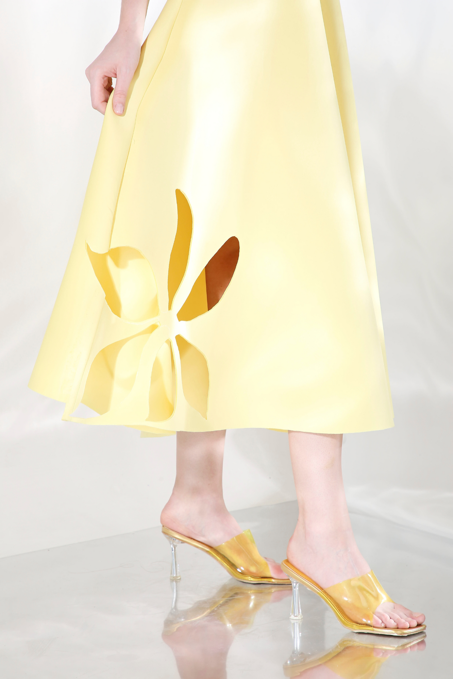 Daffodil x3