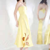 Daffodil x3