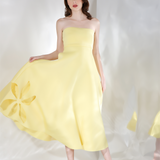 Daffodil x3