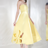 Daffodil x3