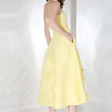 Daffodil x3