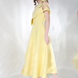 Daffodil x3