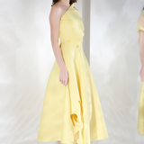 Daffodil x3