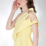 Daffodil x3