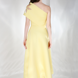 Daffodil x3