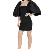 Exaggerated Taffeta Sleeves